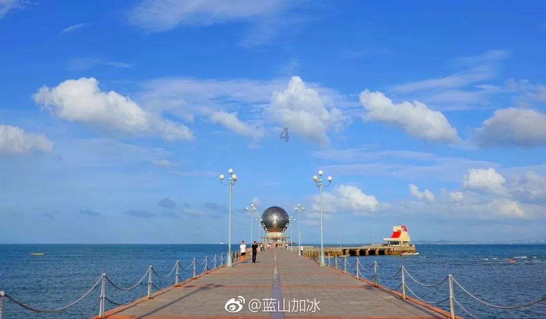 救援受困的火鸡